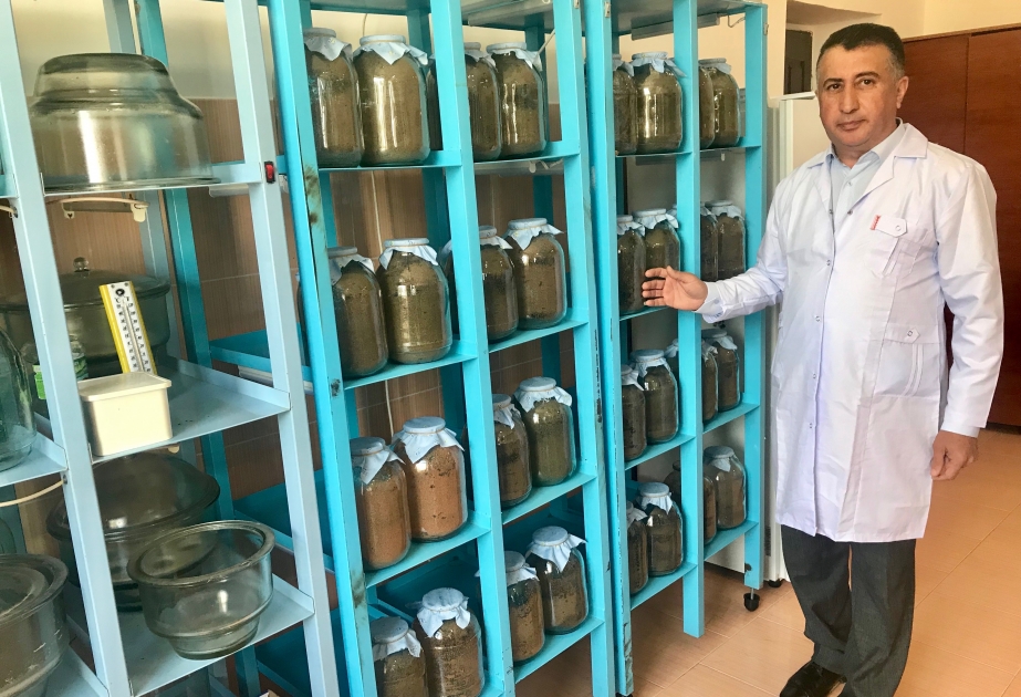 Bitkiləri zərərli orqanizmlərdən qorumaq üçün bioloji mübarizə üsulunun geniş tətbiqinə başlanacaq