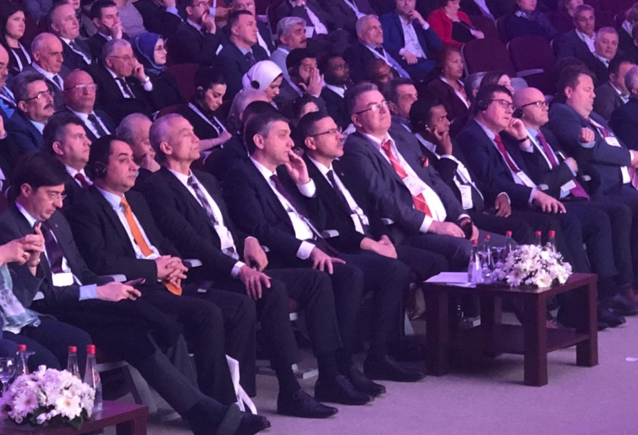 Hesablama Palatasının nümayəndə heyəti beynəlxalq müzakirələrdə iştirak edir