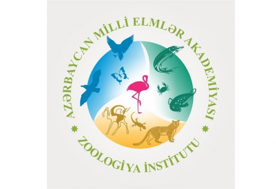 “Azərkosmos” ASC ilə AMEA-nın institutları arasında əməkdaşlıq təklifləri müzakirə edilib