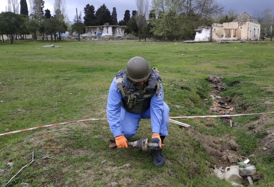 Lənkəran rayonunda top mərmisi aşkarlanıb