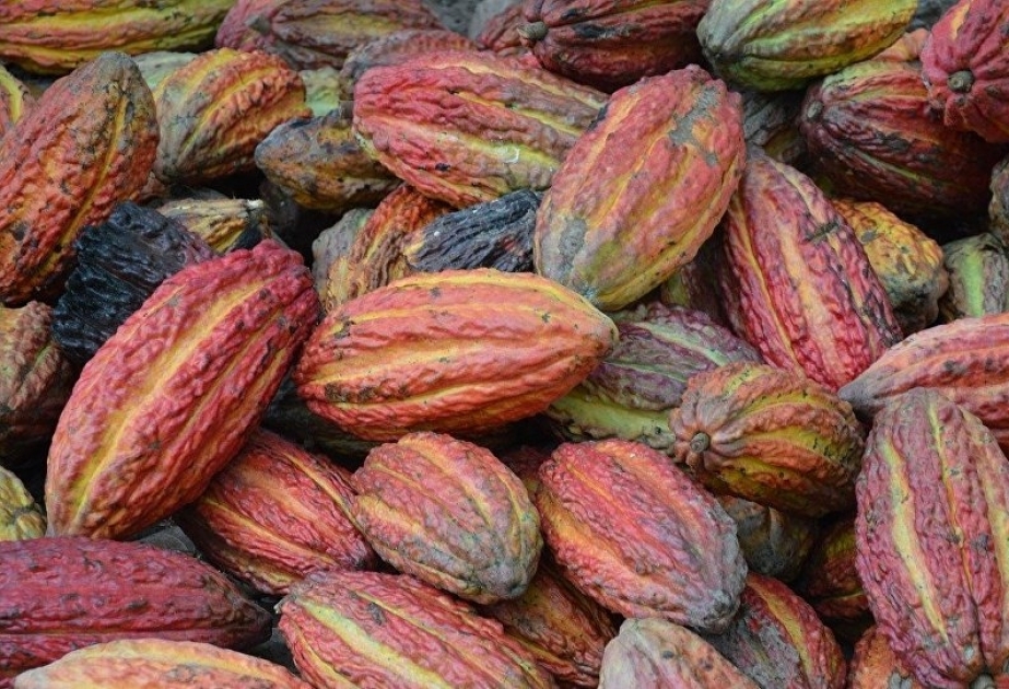 ¿Te gusta el chocolate oscuro? Esta empresa lo sabe y quiere aprovecharlo