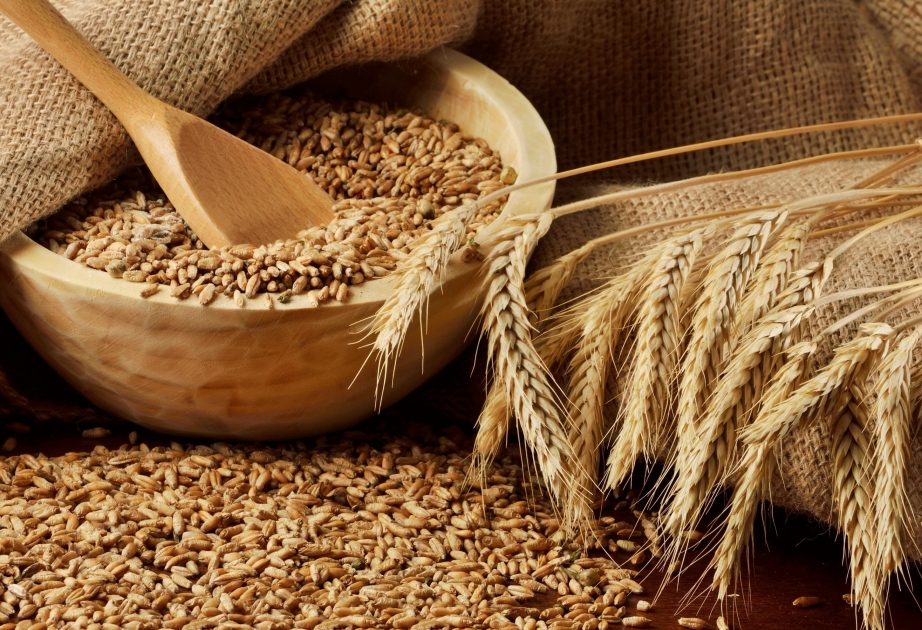 今年1月至3月阿塞拜疆小麦进口量超40.5万吨
