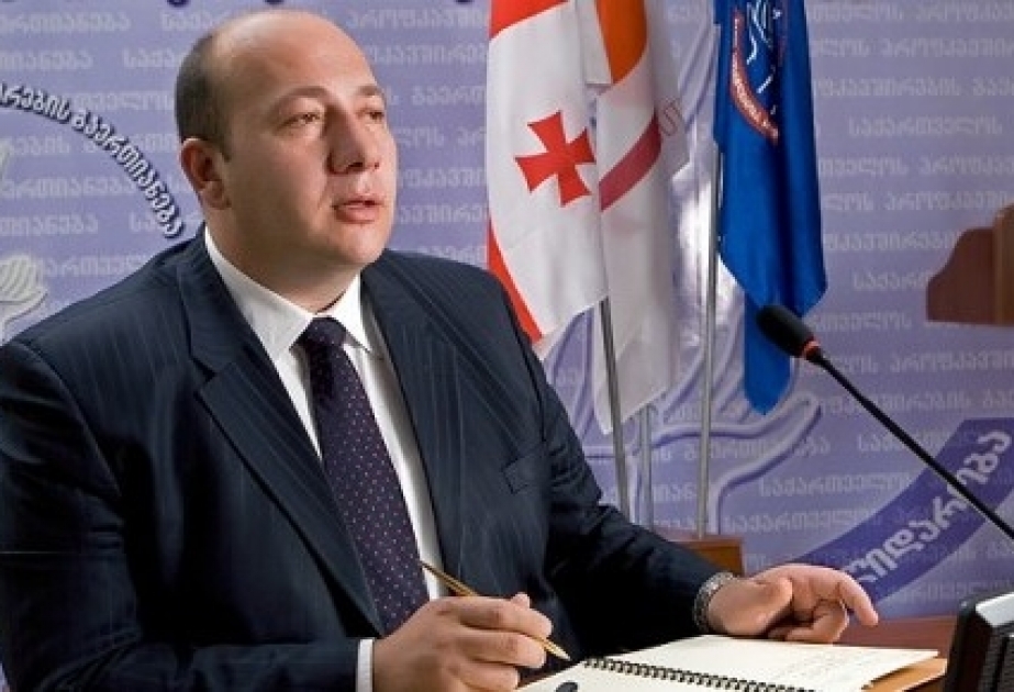 İrakli Petriaşvili: Gürcüstan hökuməti 2021-ci ilə qədər işsizliklə bağlı kompensasiya təyin etməlidir