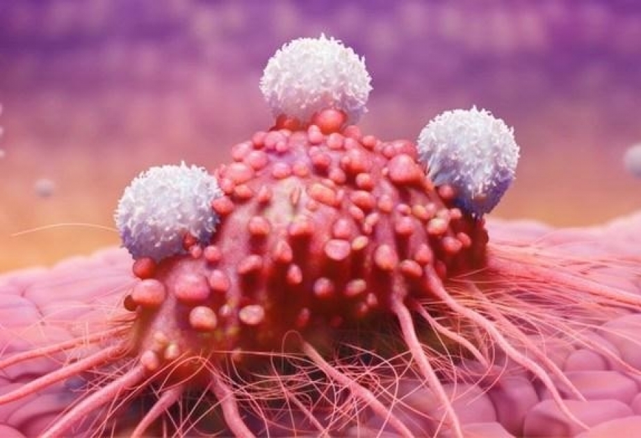 Вакцина от рака толстой кишки показала первые результаты