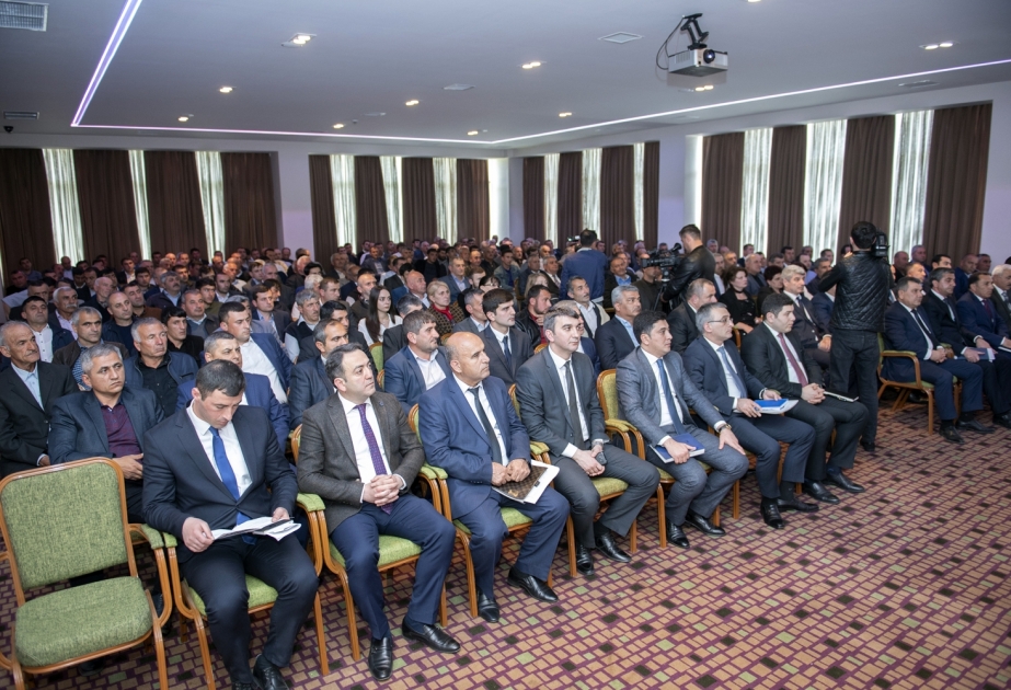 Qaxda qərzəkli meyvə bitkilərinin mövcud vəziyyəti və qarşıda duran vəzifələr mövzusunda zona müşavirəsi keçirilib
