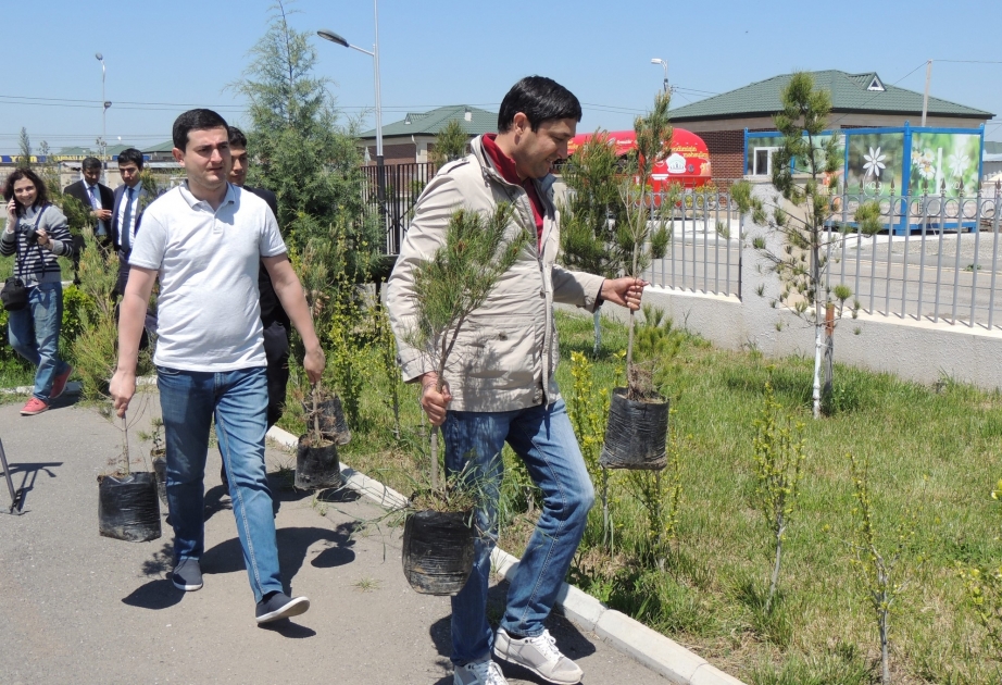 YAP Səbail rayon təşkilatı Cocuq Mərcanlıda növbəti humanitar-sosial aksiya keçirib VİDEO