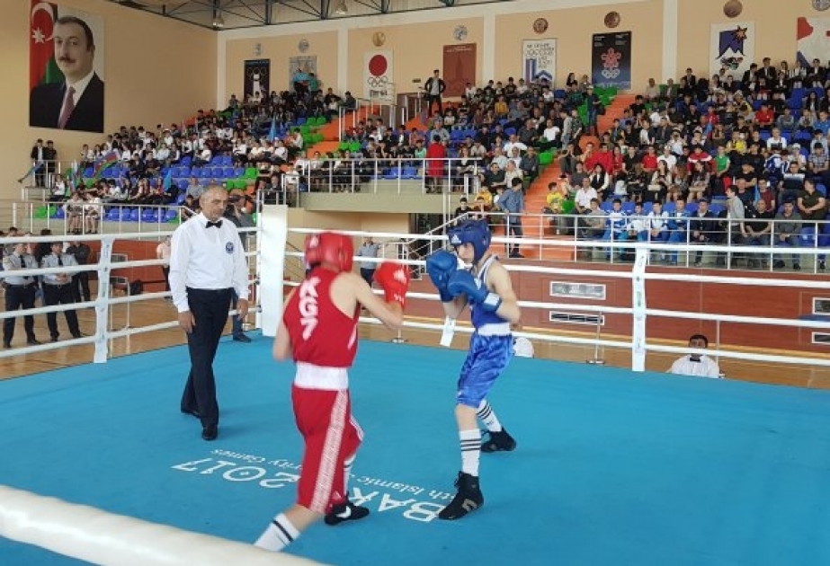 Boks üzrə “Heydər Əliyev Kuboku - 2019” beynəlxalq turnirində dörddəbir final görüşləri keçirilir