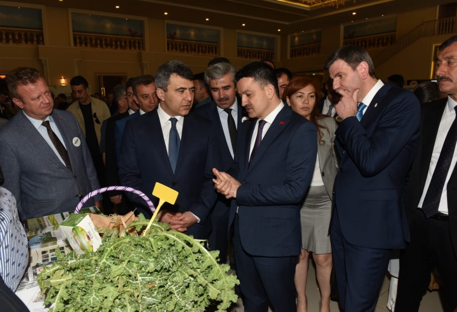 Azərbaycan nümayəndə heyəti İzmirdə keçirilən “Türkiyədə biomüxtəliflik” mövzusunda toplantıda təmsil olunur
