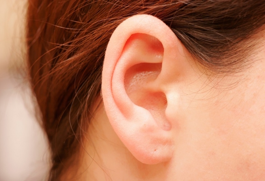 Что могут рассказать о здоровье наши уши?