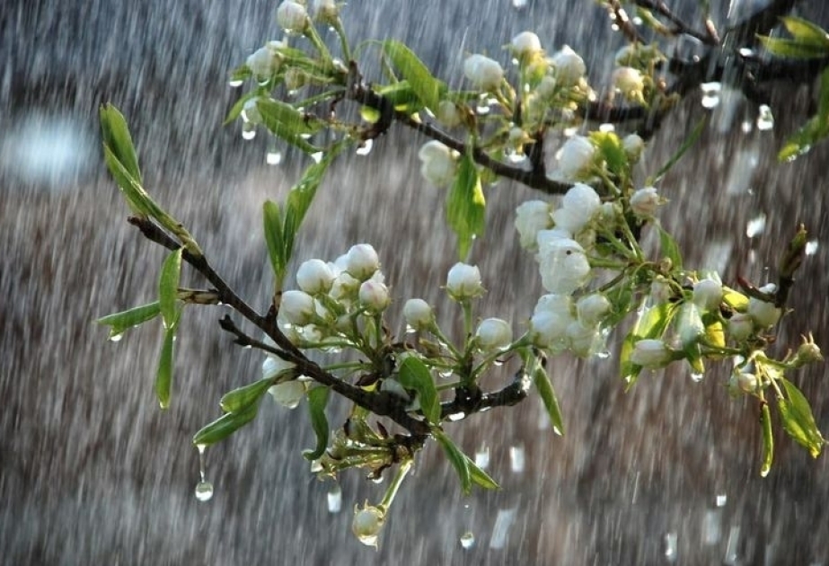 الأرصاد الجوية تتوقع مطرا متقطعا على بعض مناطق البلد للغد