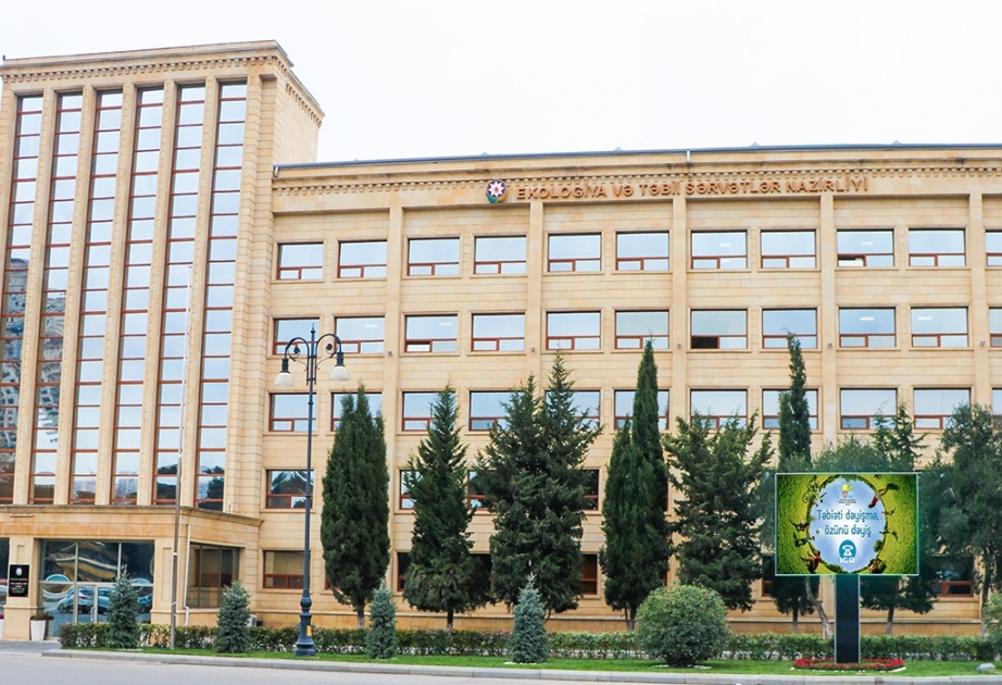 Sumqayıtda şam ağaclarının kəsilməsi nəticəsində təbiətə 4740 manat məbləğində ziyan dəyib