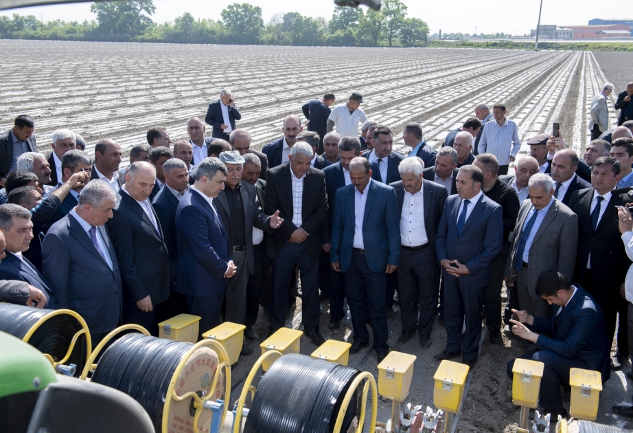Ucarda pambığın Çin texnologiyası əsasında becərilməsi ilə bağlı pilot layihənin təqdimatı olub