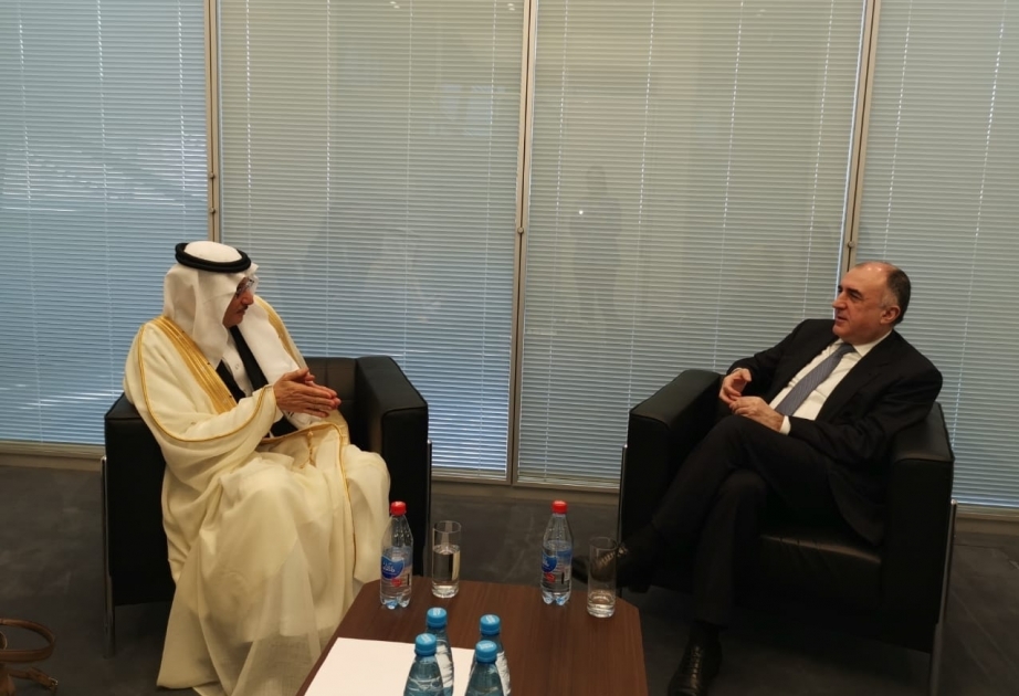 Azerbaijan, OIC discuss bilateral ties