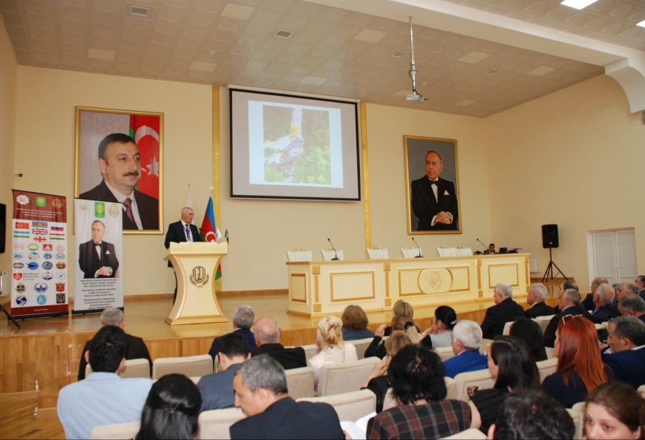 Gəncə Dövlət Universitetində beynəlxalq konfrans işə başlayıb