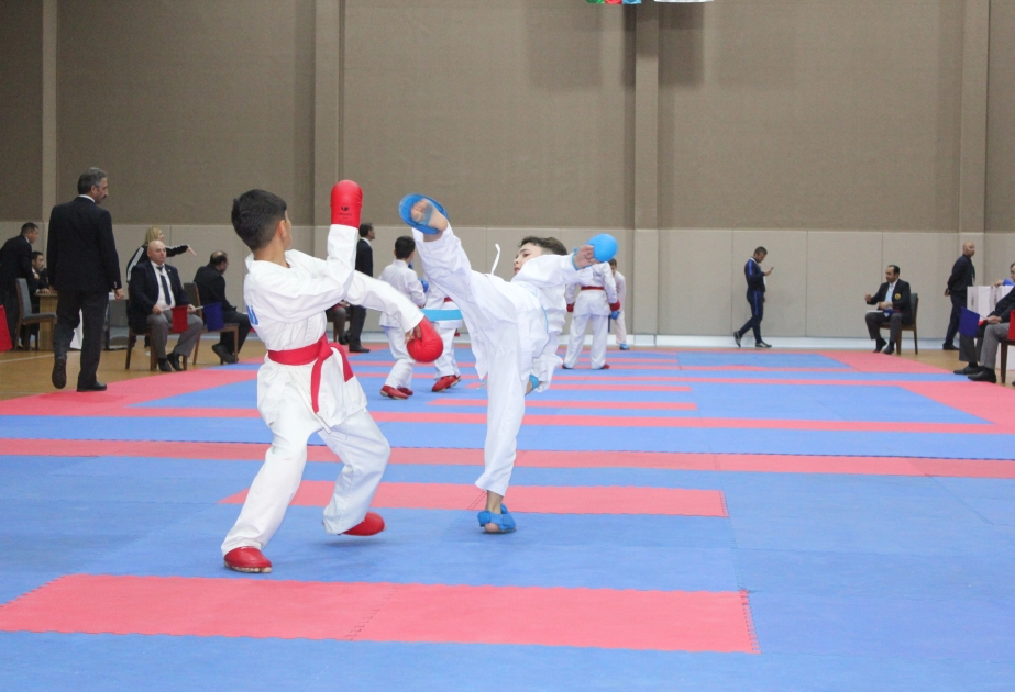 Naxçıvanda keçirilən karate-do üzrə beynəlxalq turnirdə 300-dək idmançı iştirak edir