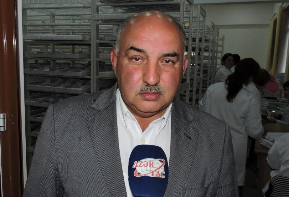 Baramaçılıq üzrə mütəxəssis: Stansiyada ipəkqurdunun inkubasiyası yüksək səviyyədə aparılıb