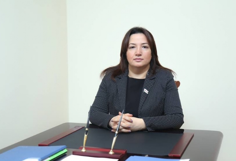 Pərvin Kərimzadə: Ölkəmiz dünyada sülhün təmin edilməsinə öz müsbət töhfəsini verir