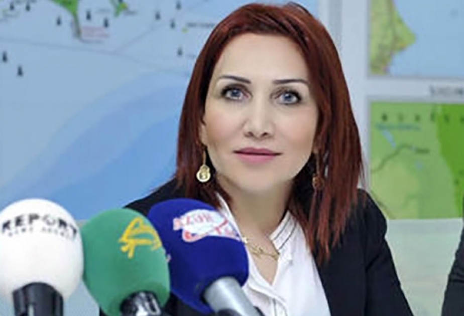 Xətai rayonunda 25 meyvə ağacının kəsilməsi faktı aşkarlanıb