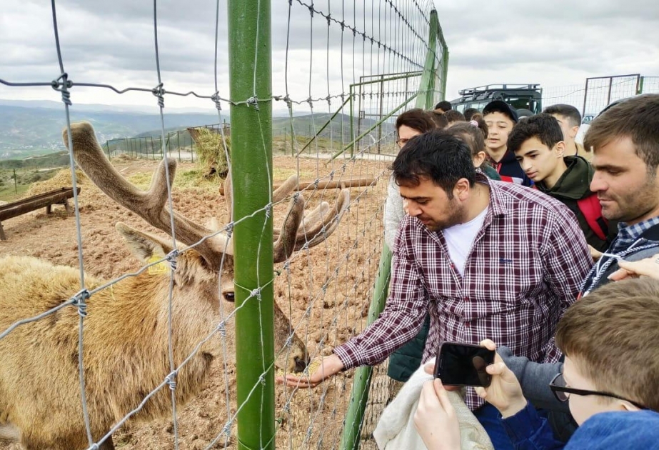 Məktəb-liseyin şagirdləri Şamaxı Safari Parkında