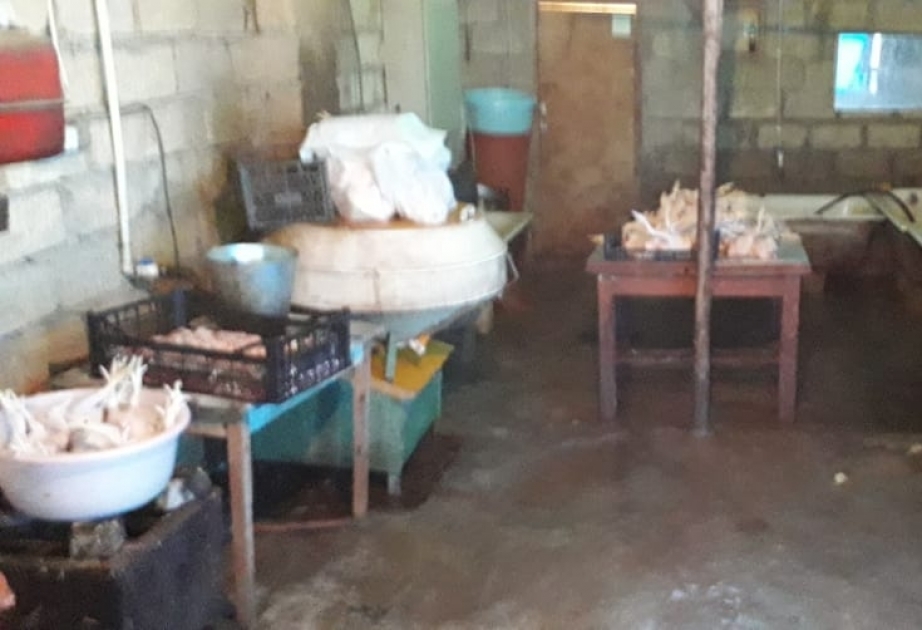 Samuxda antisanitar şəraitdə fəaliyyət göstərən toyuq sexi aşkarlanıb