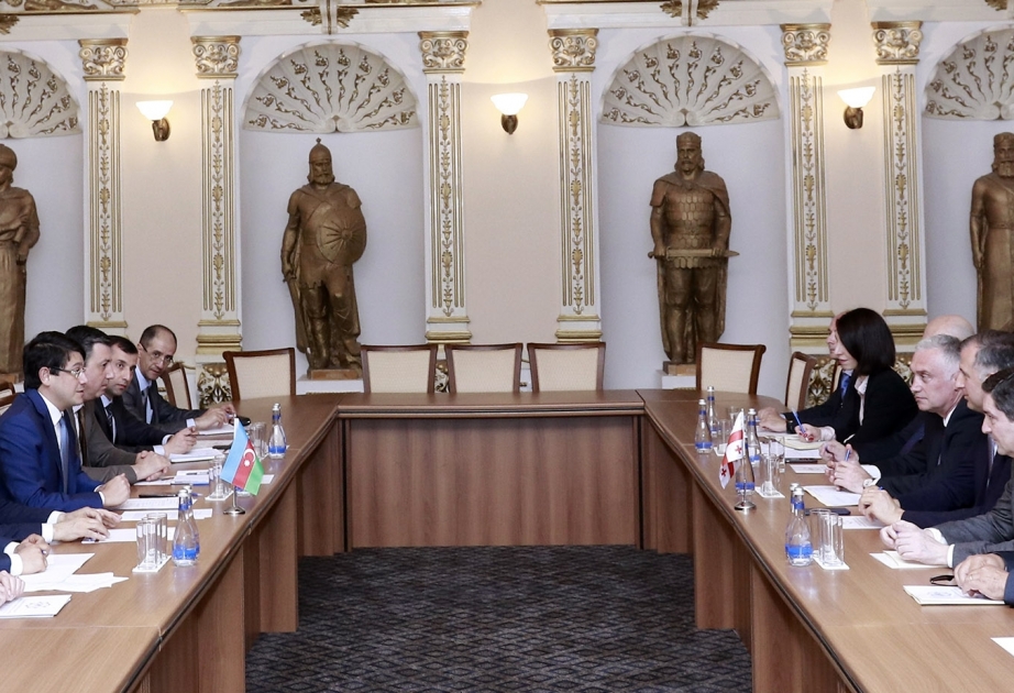 Diasporla İş Üzrə Dövlət Komitəsində gürcüstanlı deputatlarla görüş keçirilib