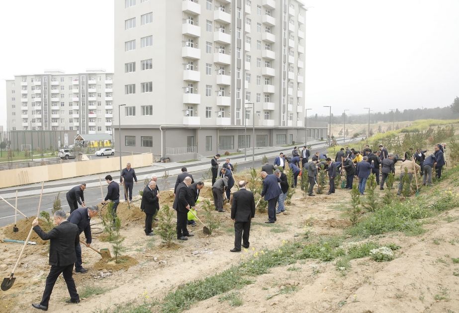 MİDA Ulu Öndər Heydər Əliyevin doğum gününə həsr olunmuş ağacəkmə aksiyası keçirib