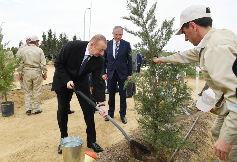 President Ilham Aliyev attended tree-planting campaign on the occasion of national leader Heydar Aliyev`s birthday VIDEO
