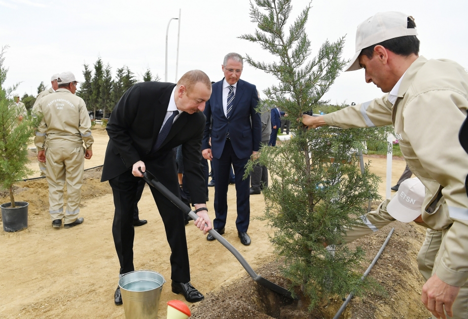 Presidente Ilham Aliyev y la Primera Dama Mehriban Aliyeva participan en la campaña de plantación de árboles dedicada al aniversario del nacimiento del gran líder Heydar Aliyev