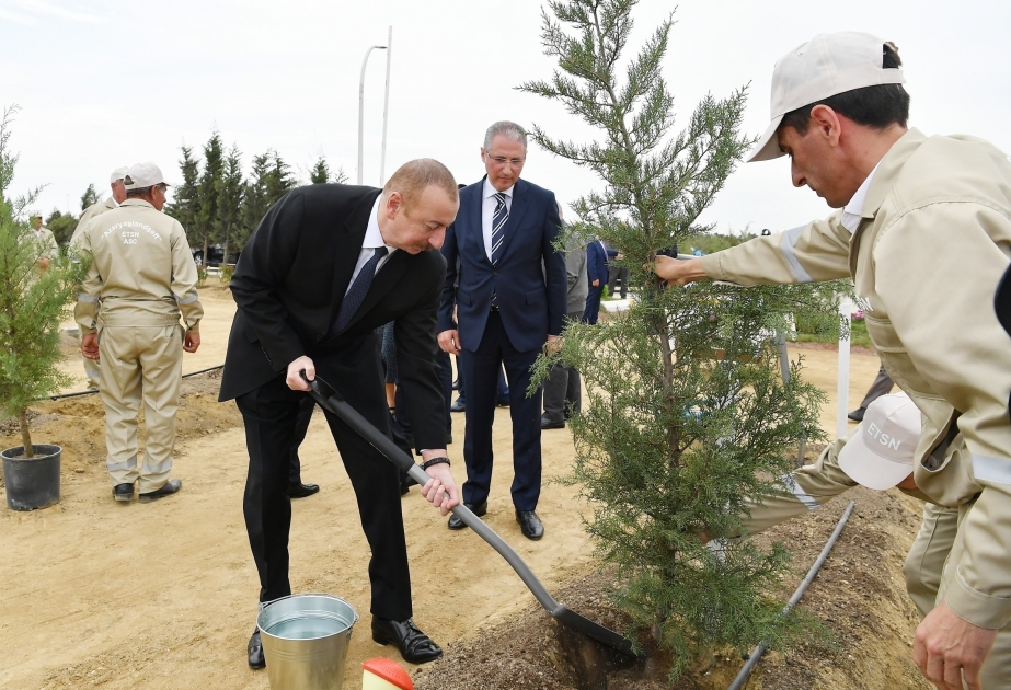 Präsident Ilham Aliyev nimmt an der Aktion für Baumpflanzung VIDEO