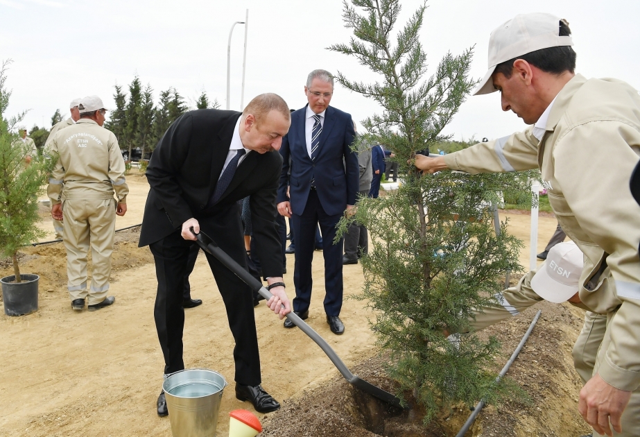 伊利哈姆·阿利耶夫总统参加植树活动 纪念全民领袖盖达尔·阿利耶夫诞辰日