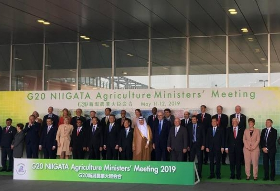 Глава ФАО предупреждает о «глобализации ожирения», призывает G20 к обеспечению здорового питания