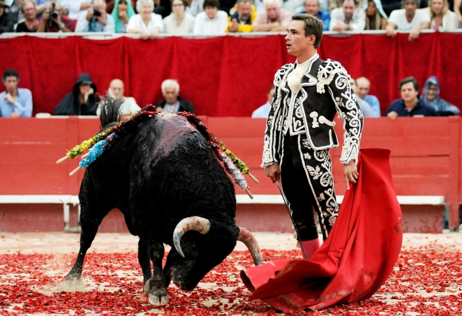 Количество боев быков в Испании за 15 лет упало до исторического минимума