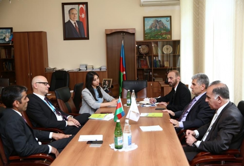 La coopération de l’Université Pédagogique Nationale d'Azerbaïdjan avec les universités autrichiennes fait l’objet de discussions