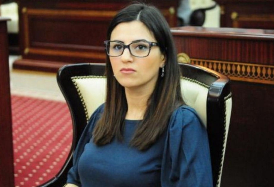 Azerbaijani MP: If Armenia really wants peace, it must end its occupation policy