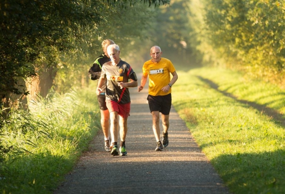 Отказ от вредных привычек и спорт помогут предотвратить деменцию