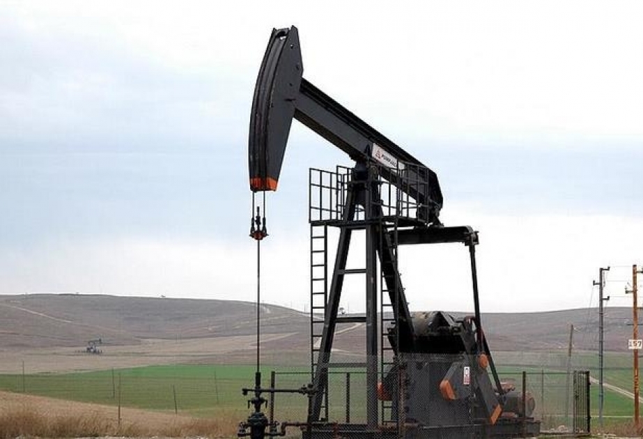 Cari ildə qlobal neft tələbatı 1,2 milyon barrel artacaq
