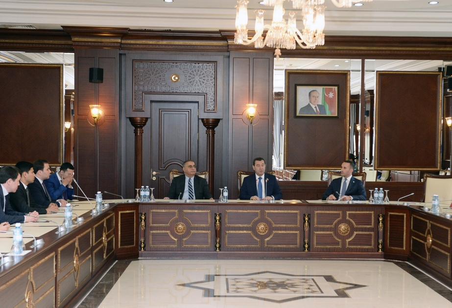 Türk Şurası Gənc Diplomatlarının birgə təlim proqramının iştirakçıları Milli Məclisdə olublar
