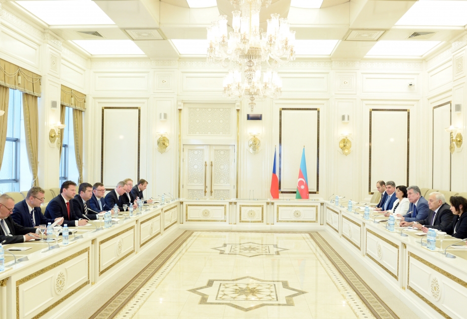 Обсуждены азербайджано-чешские межпарламентские связи