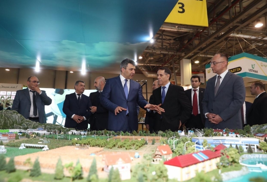 Premierminister Novruz Mammadov besucht Fachmessen für Lebensmittel und Landwirtschaft “World Food Azerbaijan 2019“ und “Caspian Agro–2019“