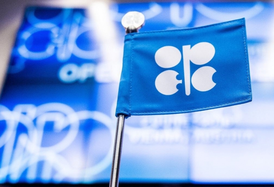 Azərbaycanın Energetika naziri “OPEC plus” tədbirində iştirak edəcək