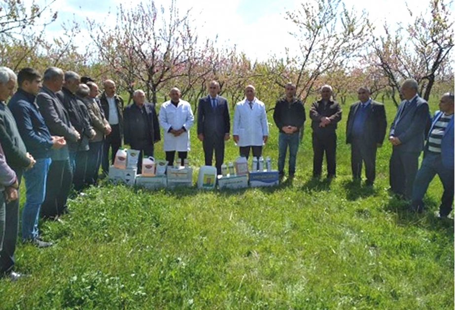 Aqrar sektorda təsərrüfat sahiblərinin maarifləndirilməsi istiqamətində işlər davam etdirilir