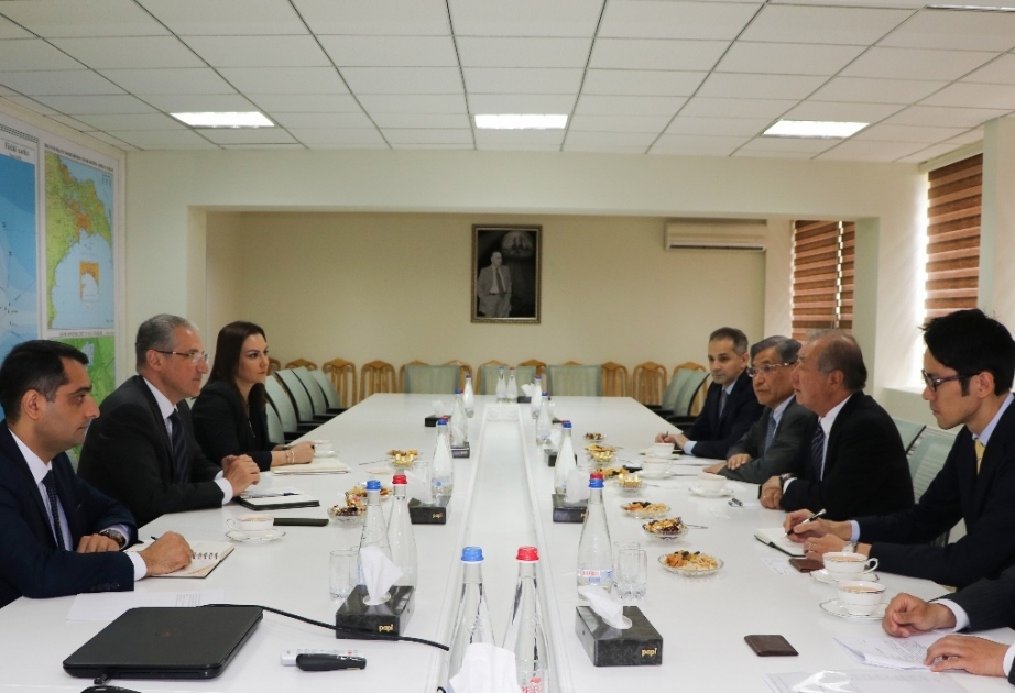 Azərbaycanla Yaponiya arasında potensial əməkdaşlıq imkanları müzakirə olunub