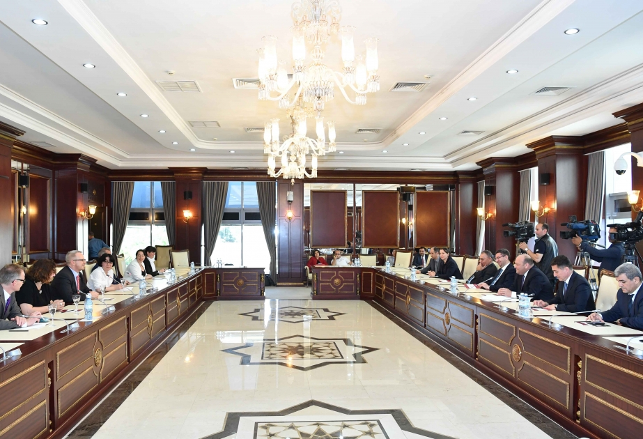 Regionda mühüm rola malik Azərbaycan Almaniya üçün çox vacib tərəfdaşdır