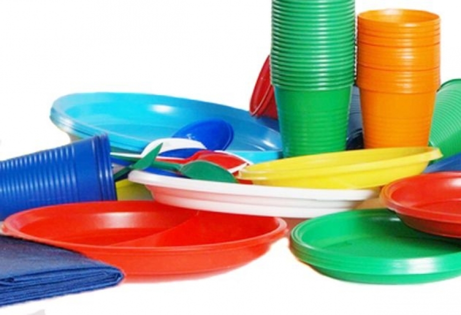 Одноразовая пластиковая посуда будет запрещена в Евросоюзе с 2021 года