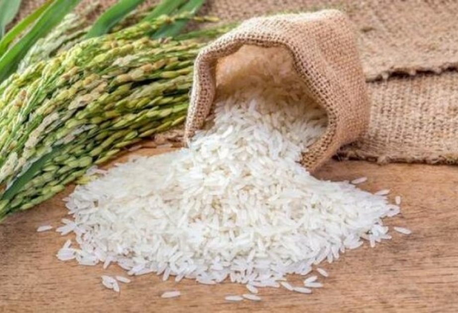 За четыре месяца в страну импортировано более 17,3 тысячи тонн риса