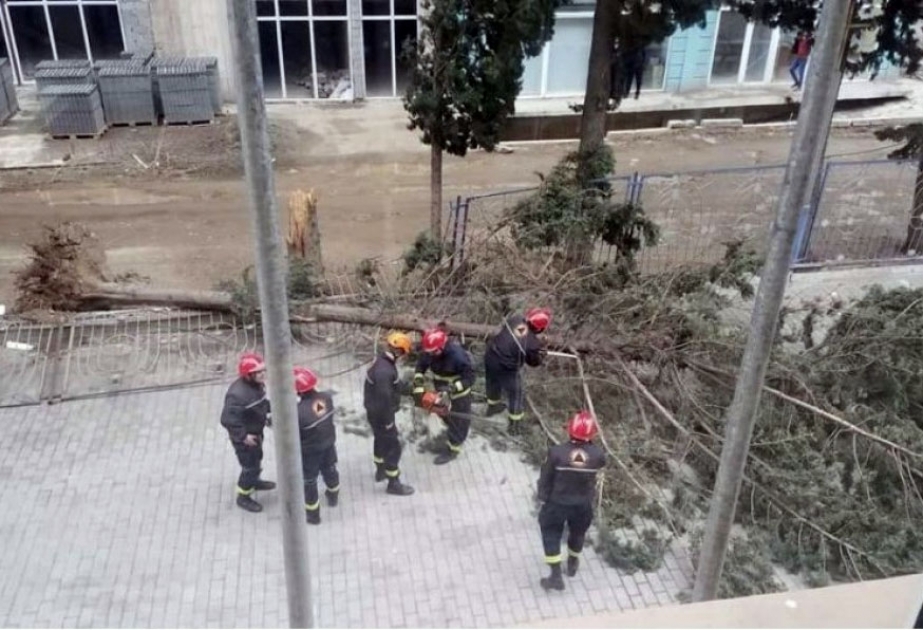 Güclü külək Gürcüstan paytaxtında ciddi fəsadlar törədib