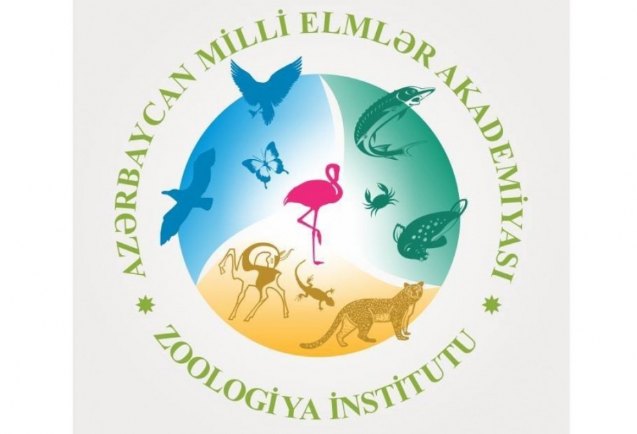 Zoologiya İnstitutunda mülki müdafiə qüvvələrinin hazırlığı yoxlanılıb