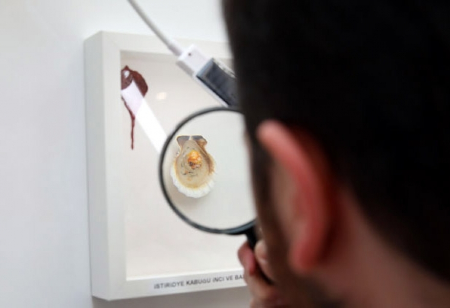 Türkiyədə düyü və makaron dənələri üzərində rəsm əsərləri nümayiş etdirilir