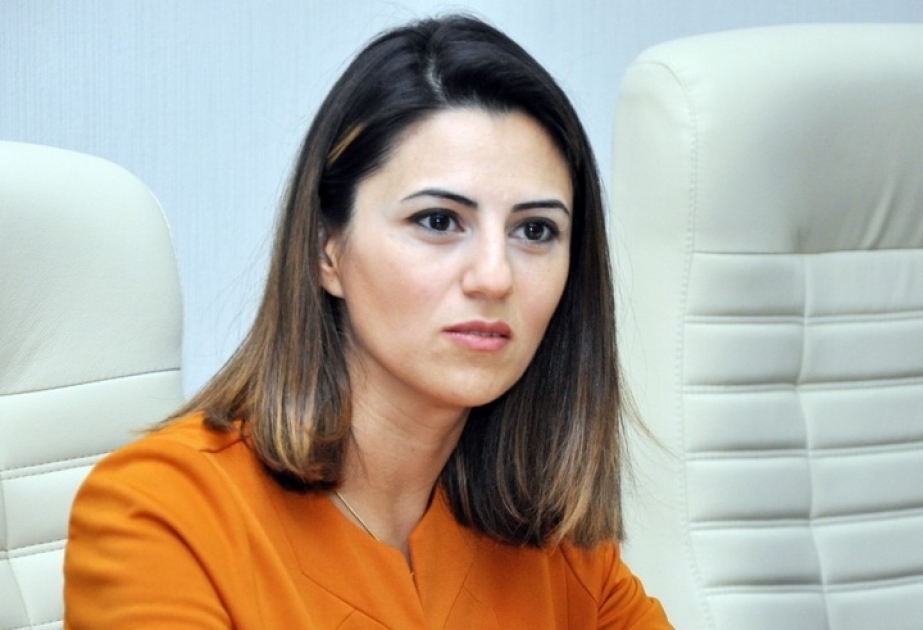 Sevinc Fətəliyeva: Azərbaycan praktik olaraq bütün regional məsələlərin əsas iştirakçısıdır