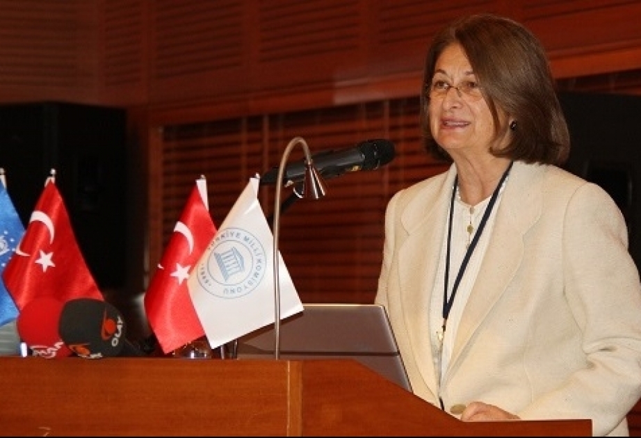 Səfir Sina Baydur: Müdafiəsiz iki diplomatı amansızcasına qətlə yetirən terrorçunu Ermənistan necə qəhrəman edir?